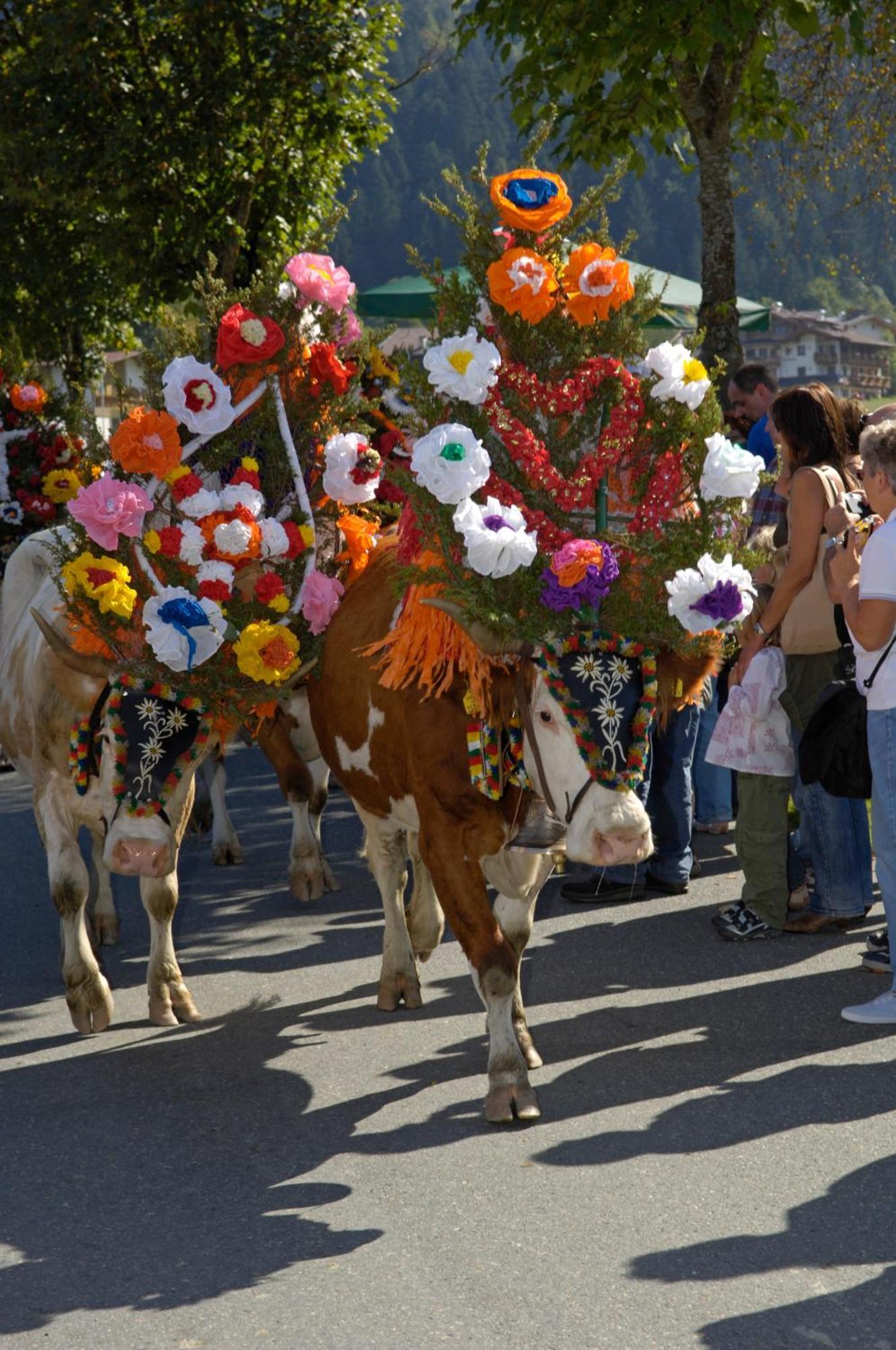Ferienhotel Tyrol Soell Am Wilden Kaiser Bagian luar foto